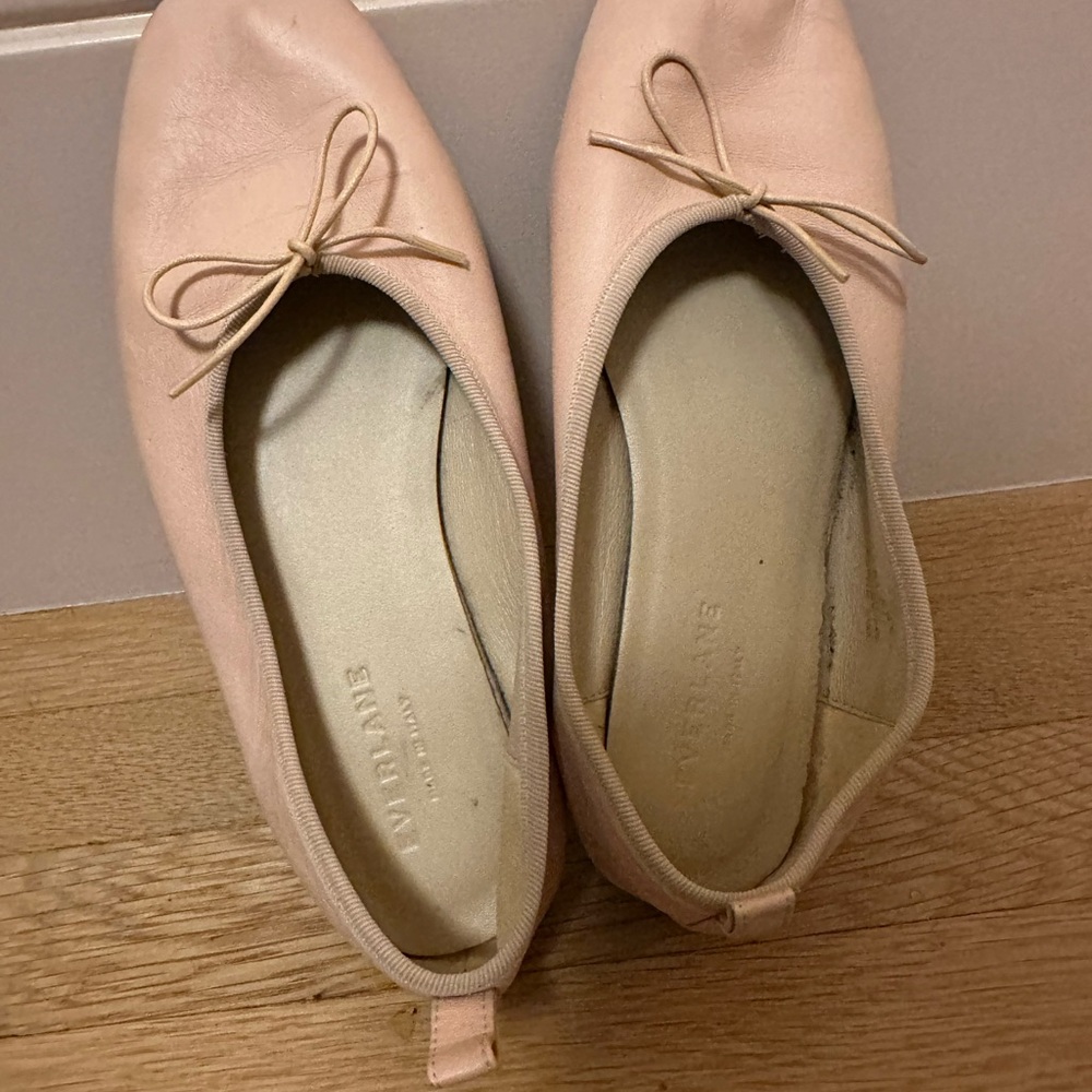 Everlane Women's Blush Ballet Flats